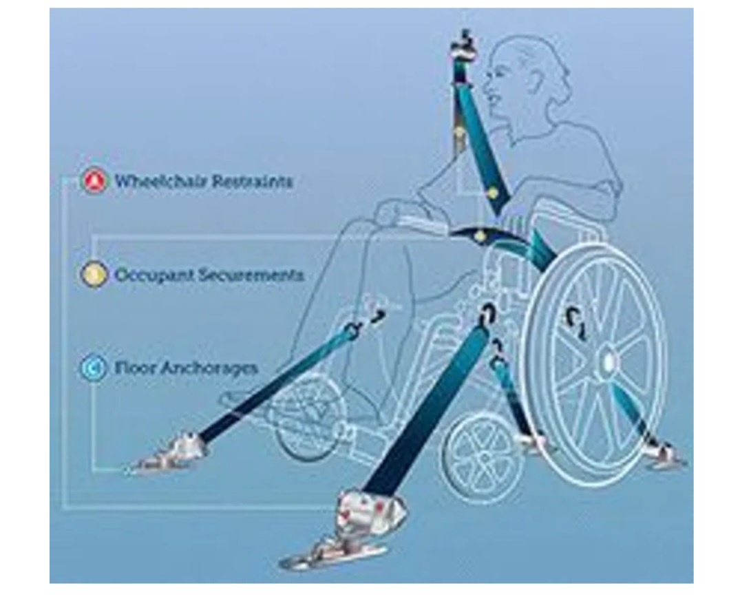 Seat Belt Restraint System